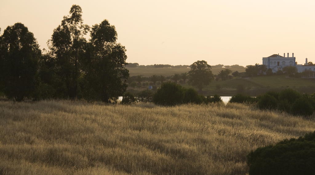 Herdade Dos Grous Albernoa Exterior photo